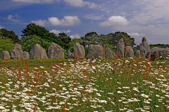 42 carnac, alignements.JPG